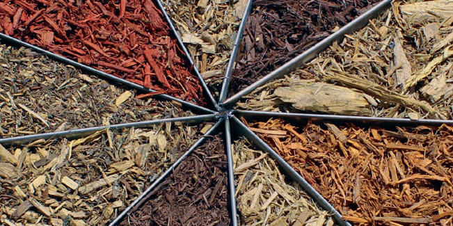 Choisir entre le mulch d’écorce et le paillis naturel pour le terreau de plantes à massif